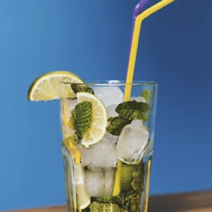 Mojito Limón Menta  Jengibre 1 Lt.